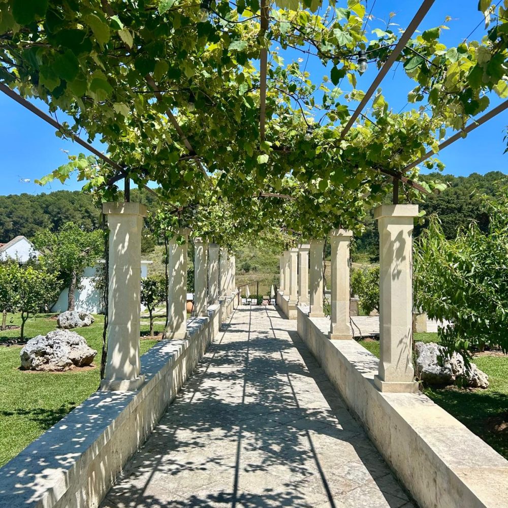 uva masseria salentina
